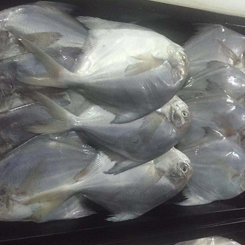 &#21916;&#21033;&#24471;&#40;&#20013;&#22269;&#41;